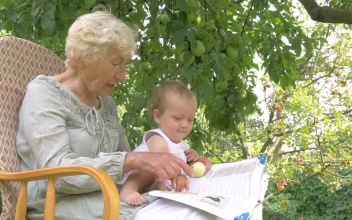 Stock Video Grandma Reads Book To Baby Under Apple Tree For PC