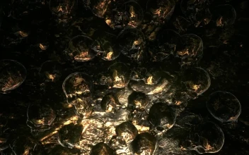 Stock Video Golden Surface With Skulls Animation For PC