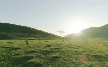 Stock Video Golden Sunshine Over A Meadow For PC