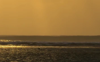 Stock Video Golden Sunset And Tall Waves For PC
