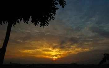 Stock Video Golden Sunrise In The Autumn For PC