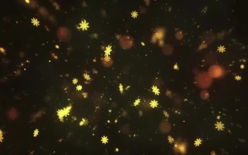 Stock Video Golden Snowflakes Slowly Descending For PC
