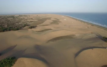 Stock Video Golden Sand Leading To The Ocean For PC