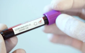 Stock Video Gloved Hands Holding A Positive Coronavirus Test For PC