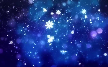 Stock Video Glitters Falling With Christmas Or Winter Concept For PC