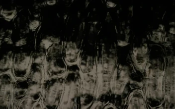 Stock Video Glass Drop Texture In Motion For PC