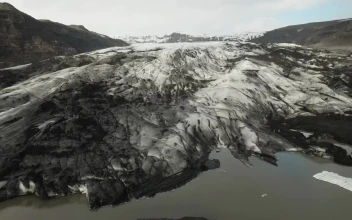 Stock Video Glacier Leading Into The Ocean For PC