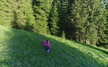 Stock Video Girls Taking A Walk In The Woods In Spring For PC