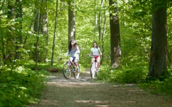 Stock Video Girls Riding Their Bicycles Through The Forest For PC