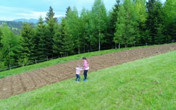Stock Video Girls Playing Beside A Farm Field For PC