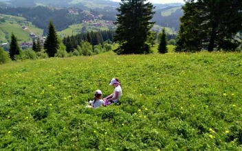 Stock Video Girls Play Sitting On The Meadow For PC