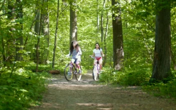 Stock Video Girls Crossing Through A Forest On A Bicycle For PC