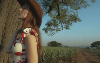 Stock Video Girl With Mexican Style Posing In A Maguey Field For PC