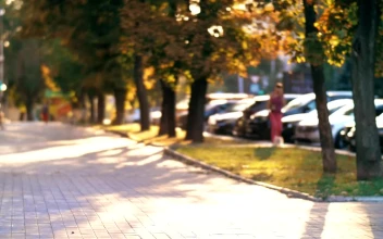 Stock Video Girl With Glasses Traveling On A Scooter In The City For PC