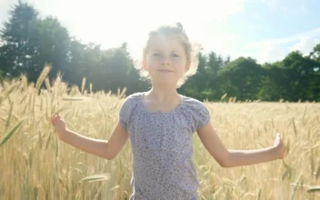 Stock Video Girl Walking Through A Wheat Field For PC