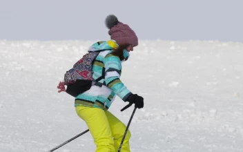 Stock Video Girl Skiing Down The Hill For PC
