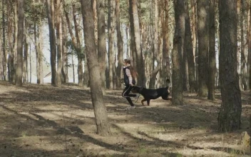 Stock Video Girl Running With Her Dog Among The Trees For PC