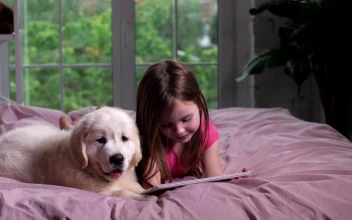 Stock Video Girl And Her Puppy Watching Videos For PC
