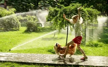 Stock Video Girl And Dog Running In The Park Path For PC