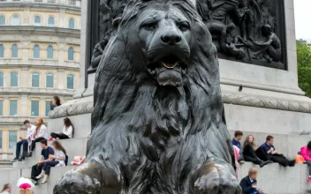 Stock Video Giant Lion Statue In Trafalgar Square In London For PC