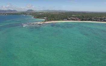 Stock Video Gentle Waves On The Coast Of Mauritius For PC