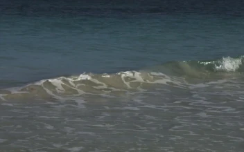 Stock Video Gentle Waves On Tulum Beach For PC