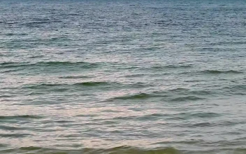 Stock Video Gentle Sea Water Near The Shore For PC