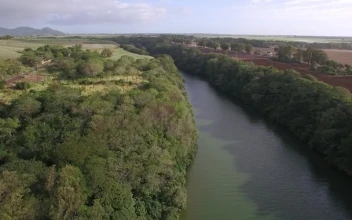 Stock Video Gentle River Water Between Farmland For PC