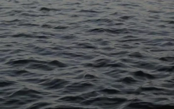 Stock Video Gentle Ripples Across A Harbor For PC
