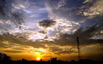 Stock Video Gentle Breeze As The Day Dawns For PC