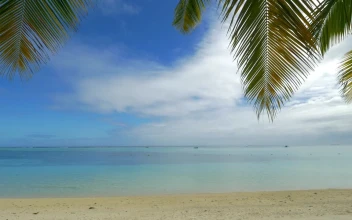 Stock Video Gentle Breeze Across Tropical Sand For PC