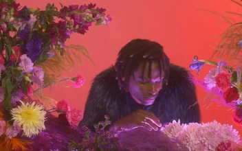 Stock Video Gay Boy In A Feminine Environment Surrounded By Flowers For PC
