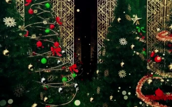Stock Video Gatsby Style Christmas Trees D Loop Video For PC