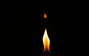 Stock Video Gas Fire Burning For PC
