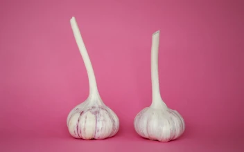 Stock Video Garlic Spinning On A Pink Background For PC