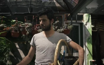 Stock Video Gardener Walking Through A Nursery For PC