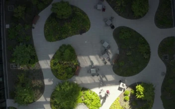 Stock Video Garden Inside A Building Seen From Above For PC