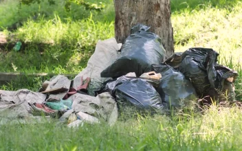 Stock Video Garbage Piled Up At The Base Of A Tree In For PC