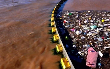 Stock Video Garbage Polluting The Water Of A Lake For PC
