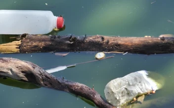 Stock Video Garbage In A River Very Close View For PC
