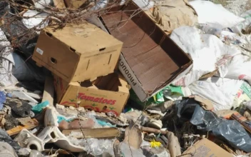 Stock Video Garbage Can In The Sun For PC
