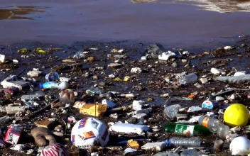 Stock Video Garbage Floating In A Polluted Lake For PC