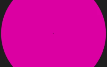 Stock Video Gaming Shape Animation Reveal For PC