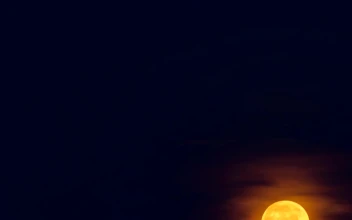 Stock Video Full Moon Rising In The Night Sky For PC