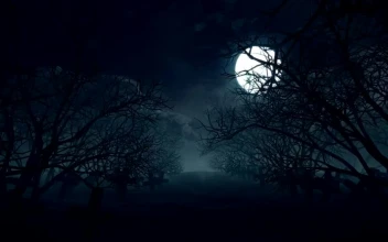 Stock Video Full Moon On Halloween Night Loop Video For PC