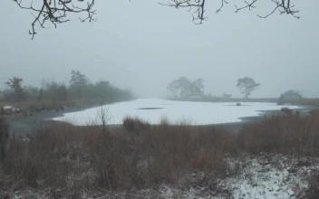 Stock Video Frozen Winter Lake For PC