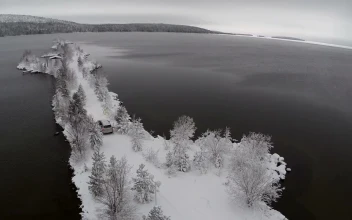 Stock Video Frozen Trees And An Ice Cold Ocean For PC