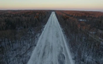 Stock Video Frozen Roads Through An Empty Woodland For PC