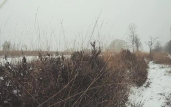 Stock Video Frozen River In A Winter Forest For PC