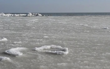 Stock Video Frozen Ocean Waves For PC